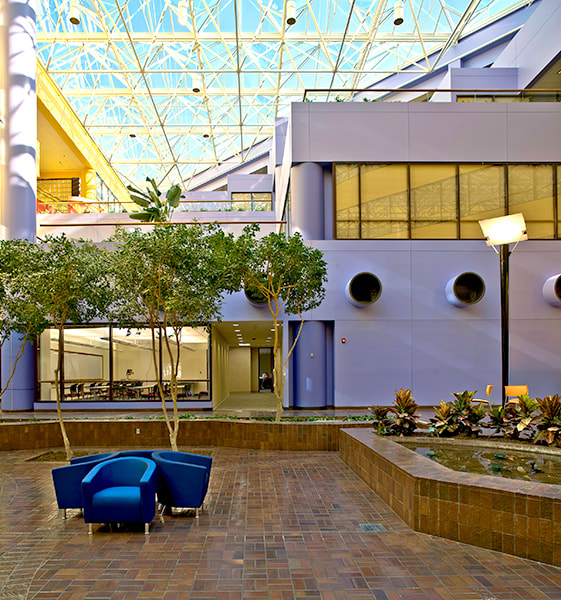 Hcc Alief